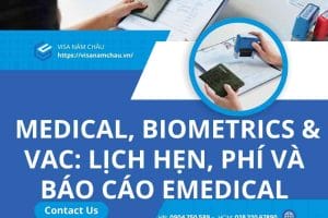 A blue and white advertisement with text AI-generated content may be incorrect.