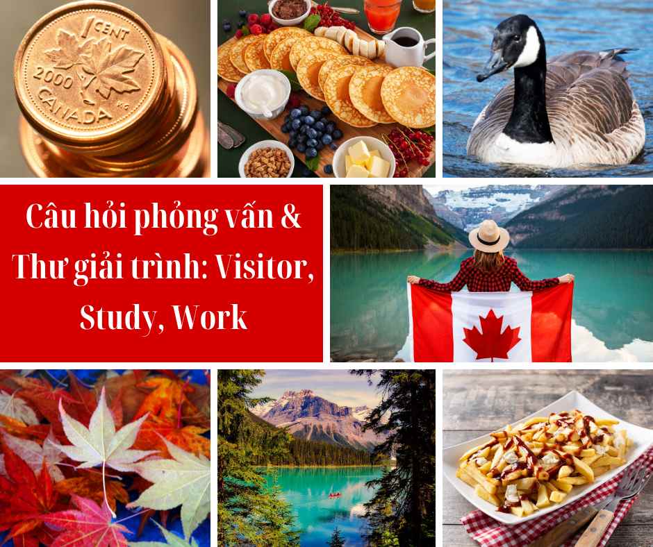 A collage of different pictures of food and drinks
AI-generated content may be incorrect.